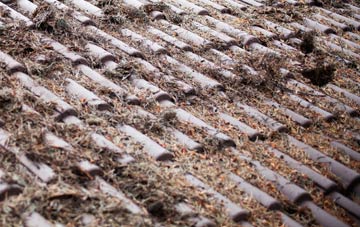 Chapel On Leader roof cleaning companies