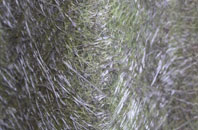 Chapel On Leader fibreglass roof work